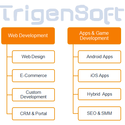 Trigensoft Solutions